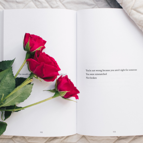 How to Find Your Next Book