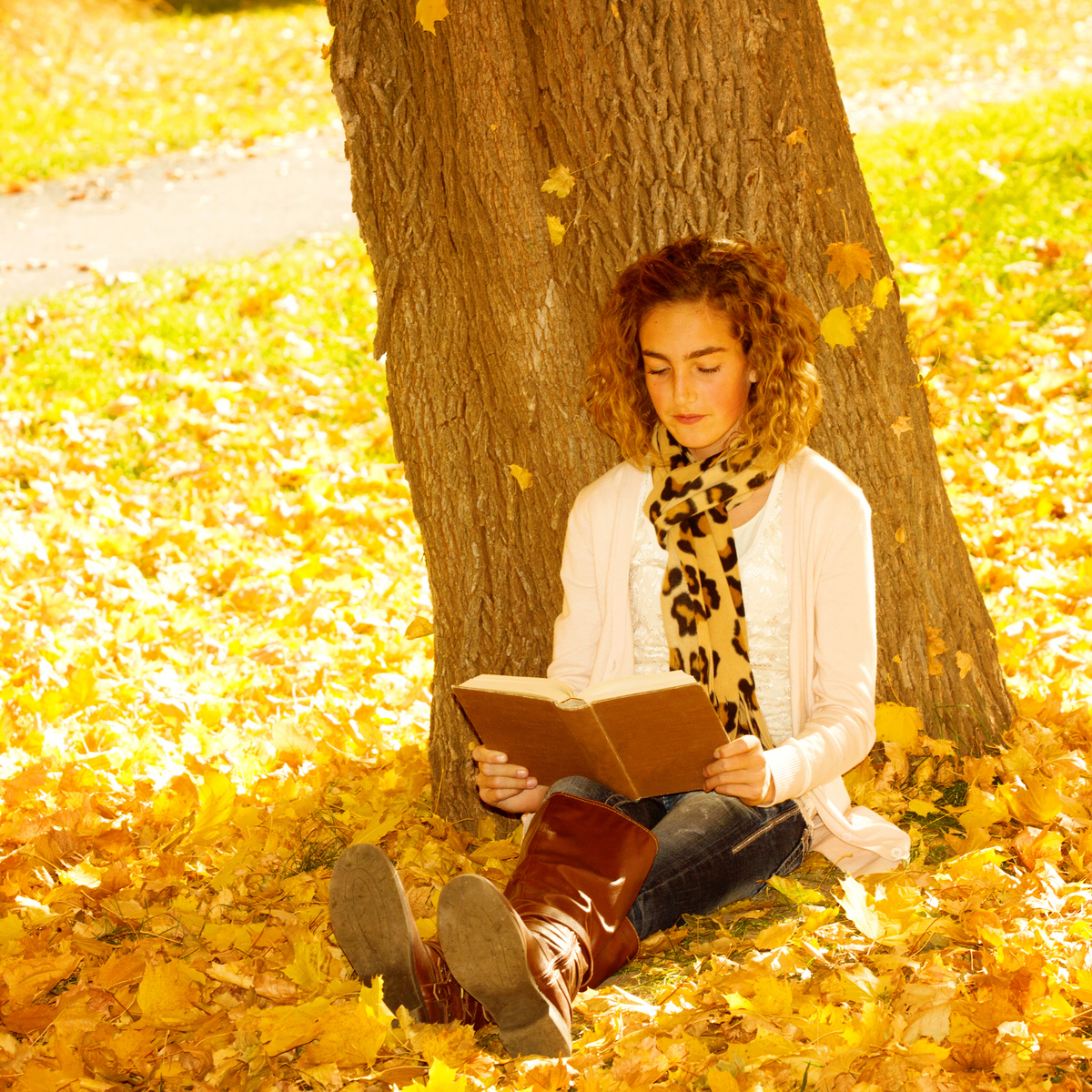 Finding Books You Want to Read: Genres, Samples and Recommendations