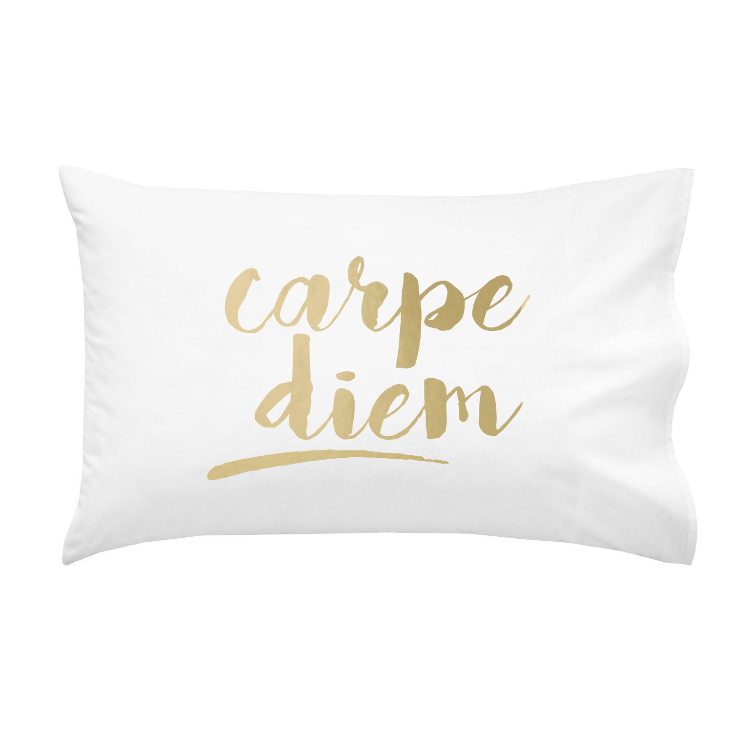 Carpe Diem Cursive 20" x 30