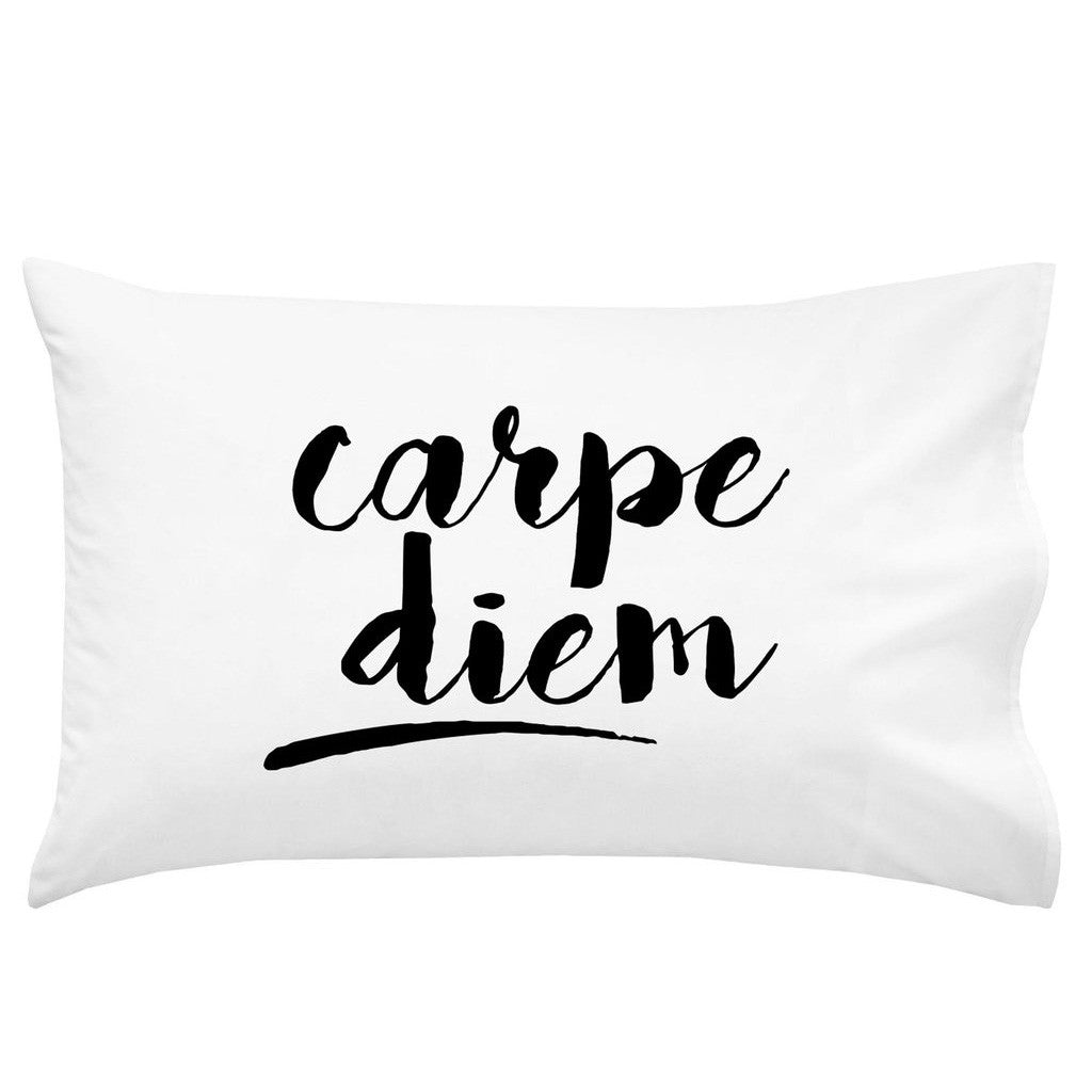 Carpe Diem Cursive 20" x 30