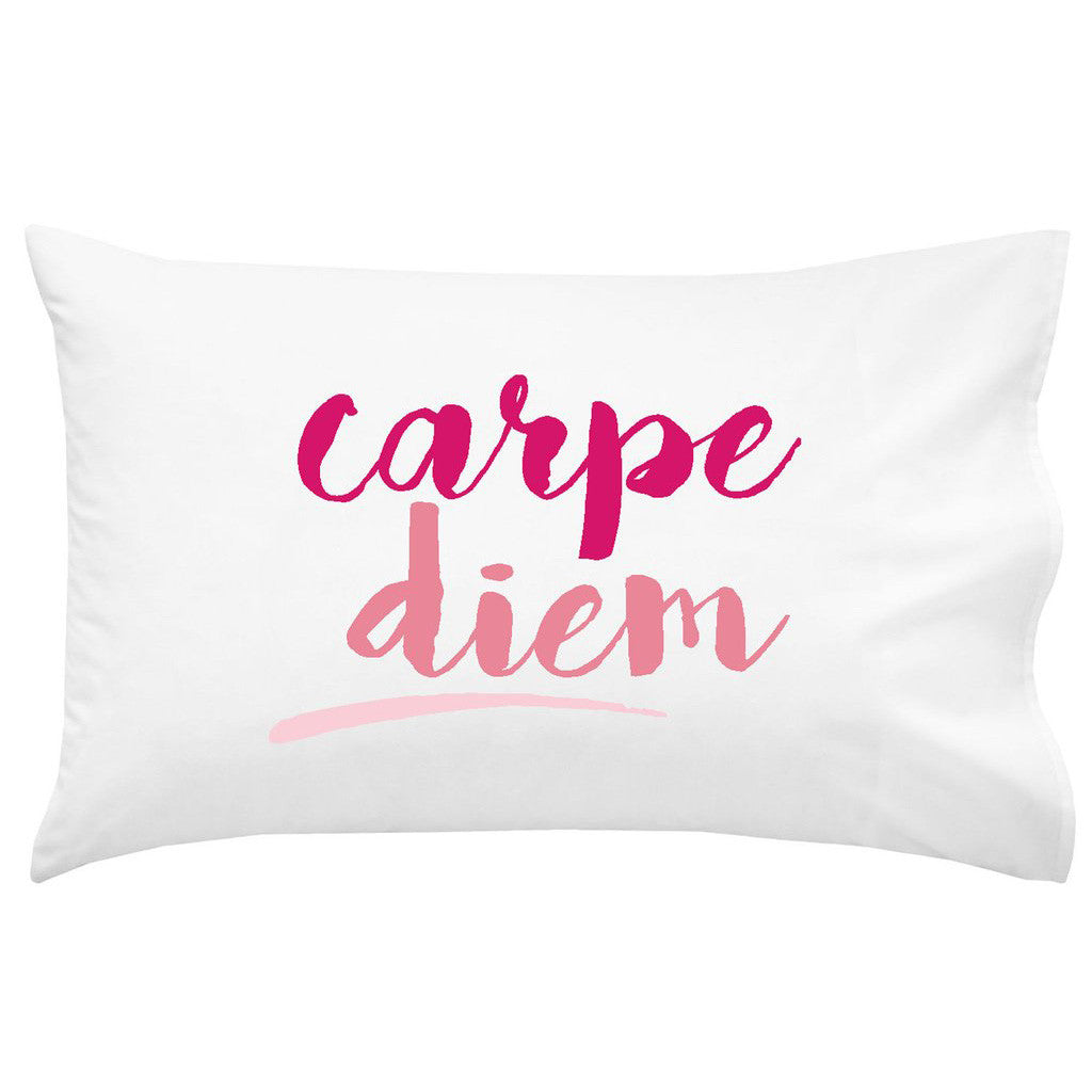 Carpe Diem Cursive 20" x 30